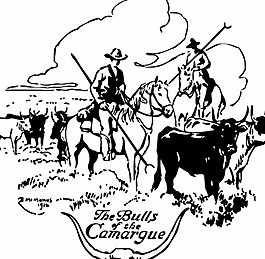 公牛的卡馬格矢量插畫