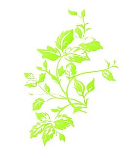 草本植物