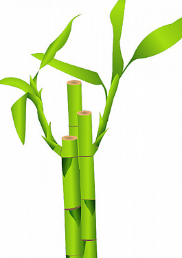 竹稈矢量插畫(huà)特寫(xiě)