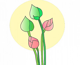 郁金香矢量