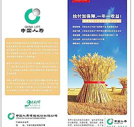 中國人壽二折頁圖片