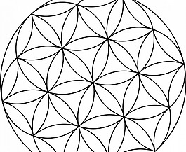 生命的矢量绘图的种子