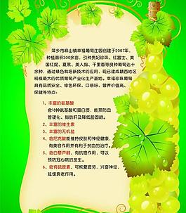 葡萄酒傳單圖片