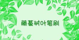 藤蔓树叶笔刷图片