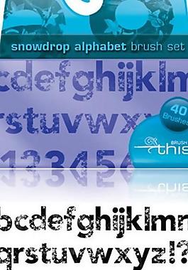 字母數字符號草葉筆刷圖片