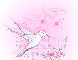 蜂鳥圖片