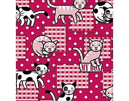 小貓圖片