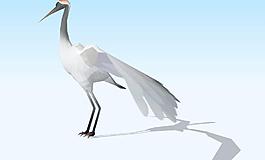 仙鶴3d模型圖片