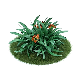 綠色植物