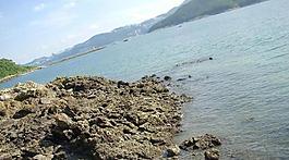 海灘圖片