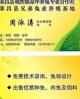 創(chuàng)意名片模板圖片