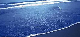 海灘圖片