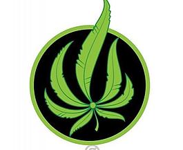 綠色的樹葉矢量圖形