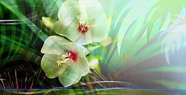 花卉背景創(chuàng)意設(shè)計(jì)圖圖片