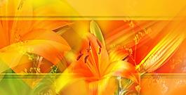 花卉背景創(chuàng)意設(shè)計(jì)圖圖片