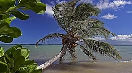 夏威夷海濱風光圖片