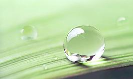 水珠圖片