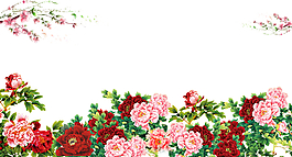 富贵花开