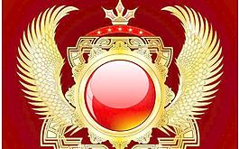 翅膀图片