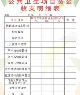 公共衛生項目資金收支明細表