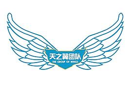 翅膀psd圖片