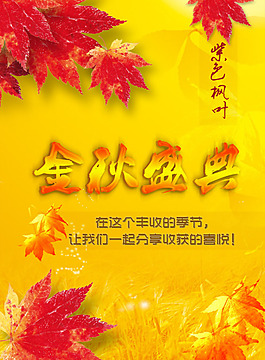金秋盛典海报