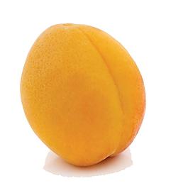桃子素材