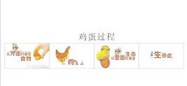 雞蛋