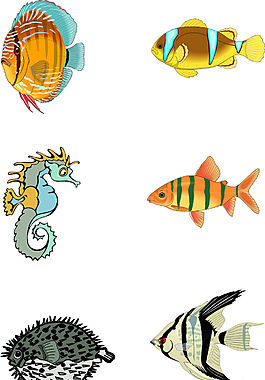 海洋生物圖檔