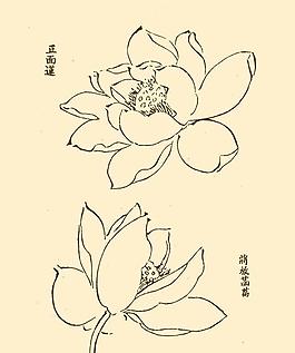 芥子園畫譜 花卉圖片