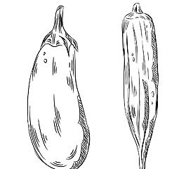 茄子素材