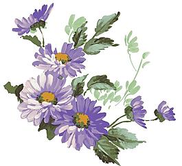 紫色的鲜花