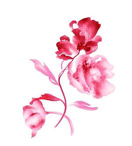 粉色的花