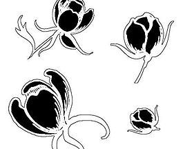 花