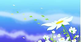 精美背景花卉圖 植物圖片PSD素材