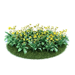 黄色的小花卉