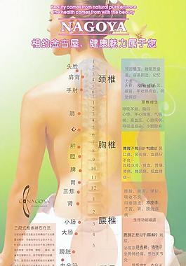 人體穴位展板矢量素材