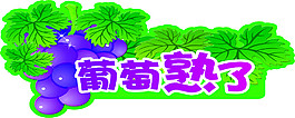 葡萄熟了