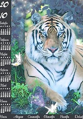 2010虎年挂历矢量图