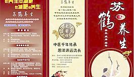 養(yǎng)生減肥茶三折頁矢量素材