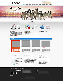 网络公司网站