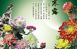 寒露節氣psd素材