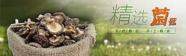 淘寶 食品海報 菌菇類 天然綠色