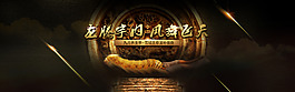 古典大气冬虫夏草海报