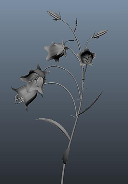3D花模型