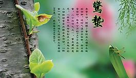 二十四节气之--惊蛰PSD模板