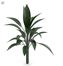 绿色植物3D模型