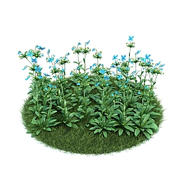 綠色草坪植物