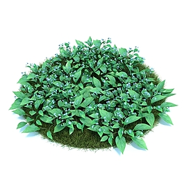 绿色植物