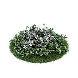 草坪植物模型